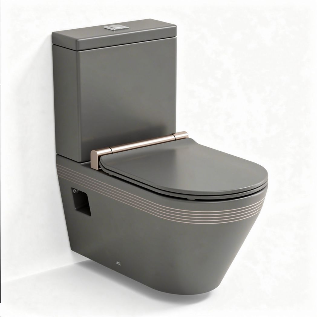 Sanitari monoblocco in ceramica grigia con bidet integrato 70 x 40 x 40cm